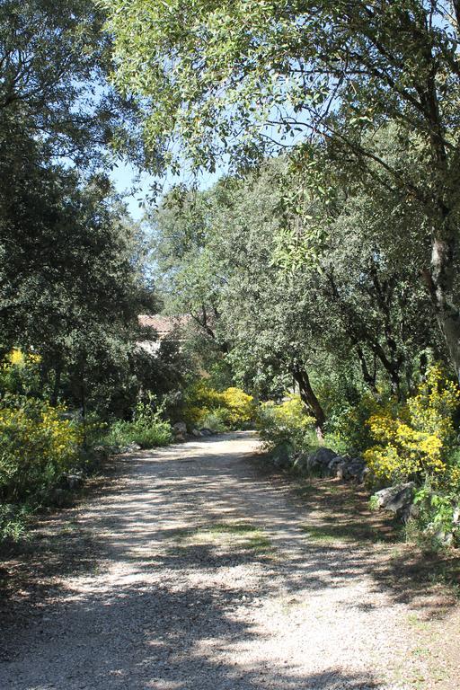 A L'Est D'Uzes Villa Saint-Siffret Ngoại thất bức ảnh
