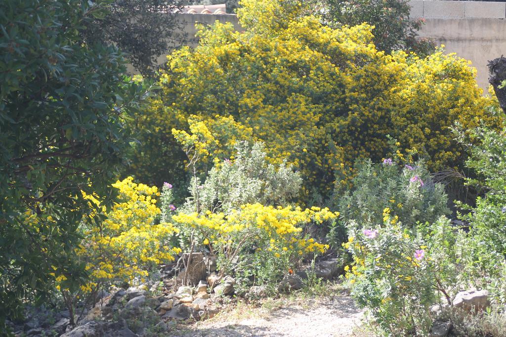 A L'Est D'Uzes Villa Saint-Siffret Ngoại thất bức ảnh